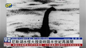 尼斯面对水原三星，主裁判判罚详解