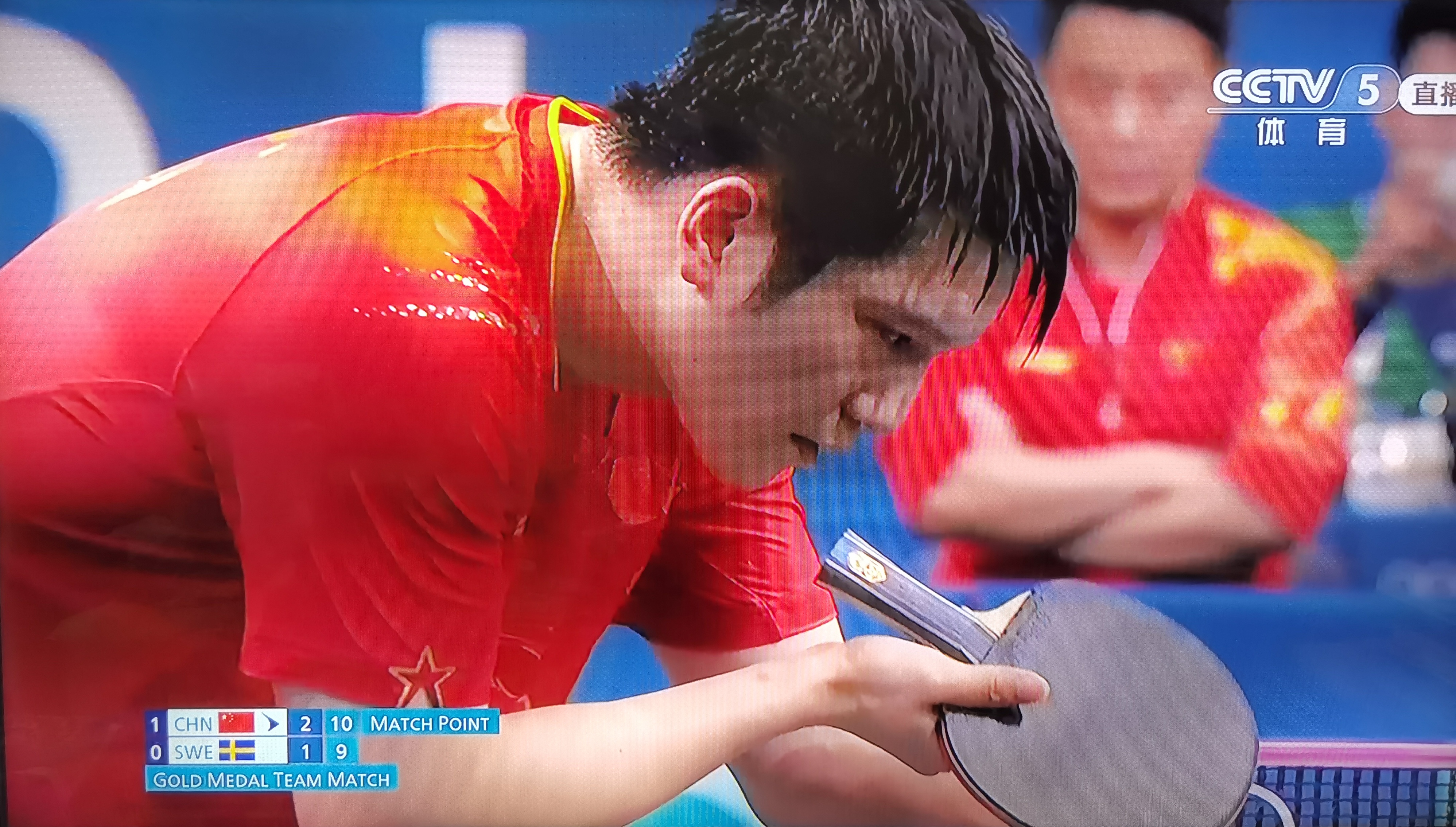 法国乒乓球队血洗瑞典乒乓球队，樊振东爆发神勇的简单介绍