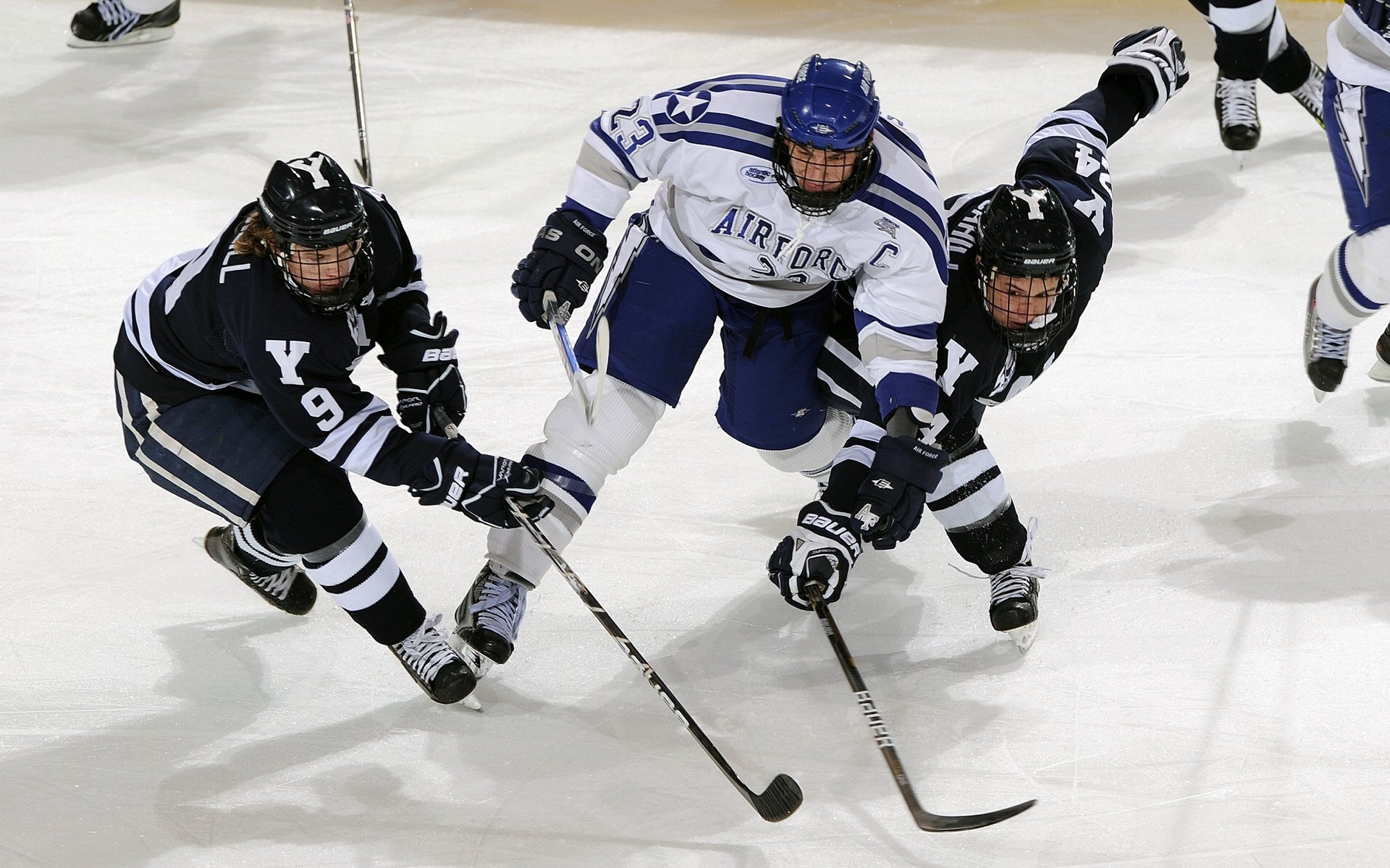 血性燃烧，当森林狼王的节奏魔法，注入辽宁的钢铁洪流